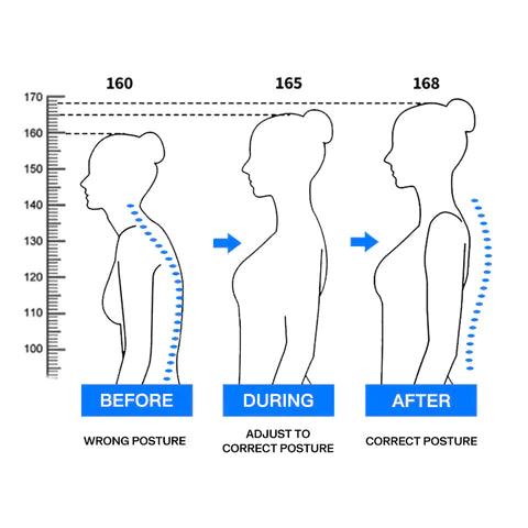 Homelae™ Back Posture Corrector