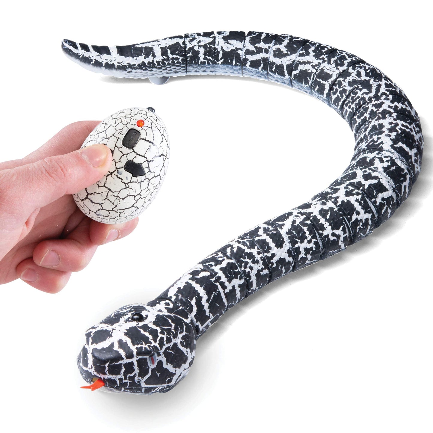 Homelae™ Innovation Snake